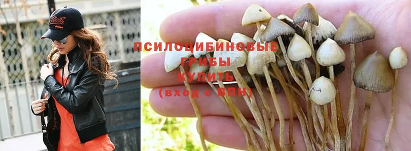 Псилоцибиновые грибы MAGIC MUSHROOMS  Артём 